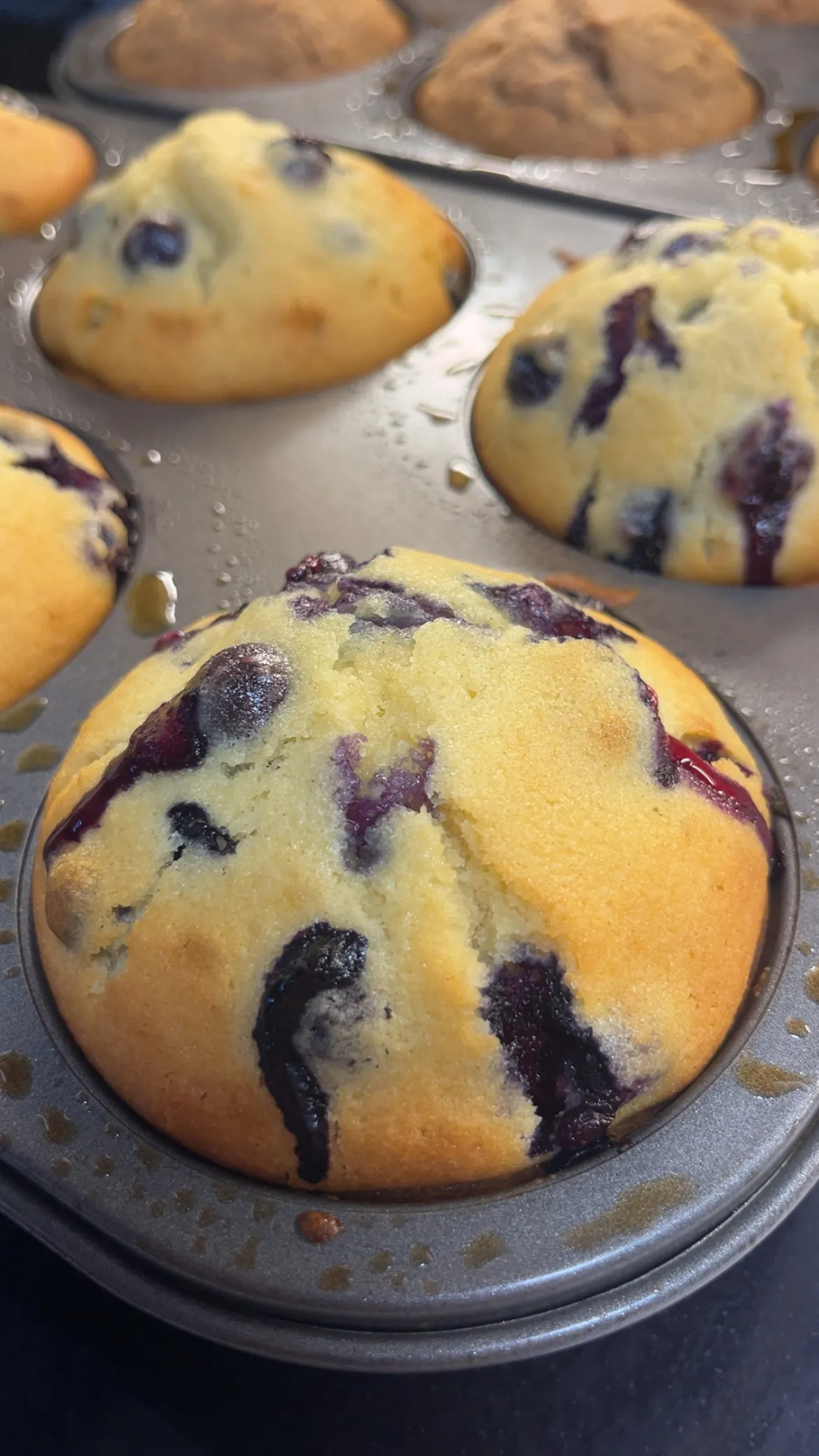 Blueberry Muffins
