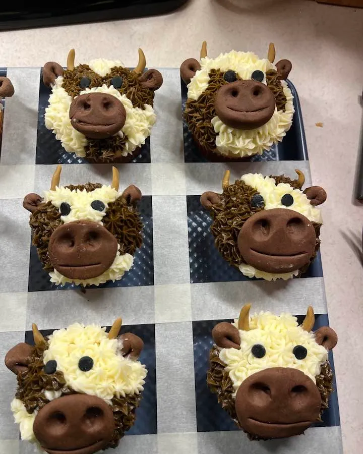 Highland Cow Cupcakes
