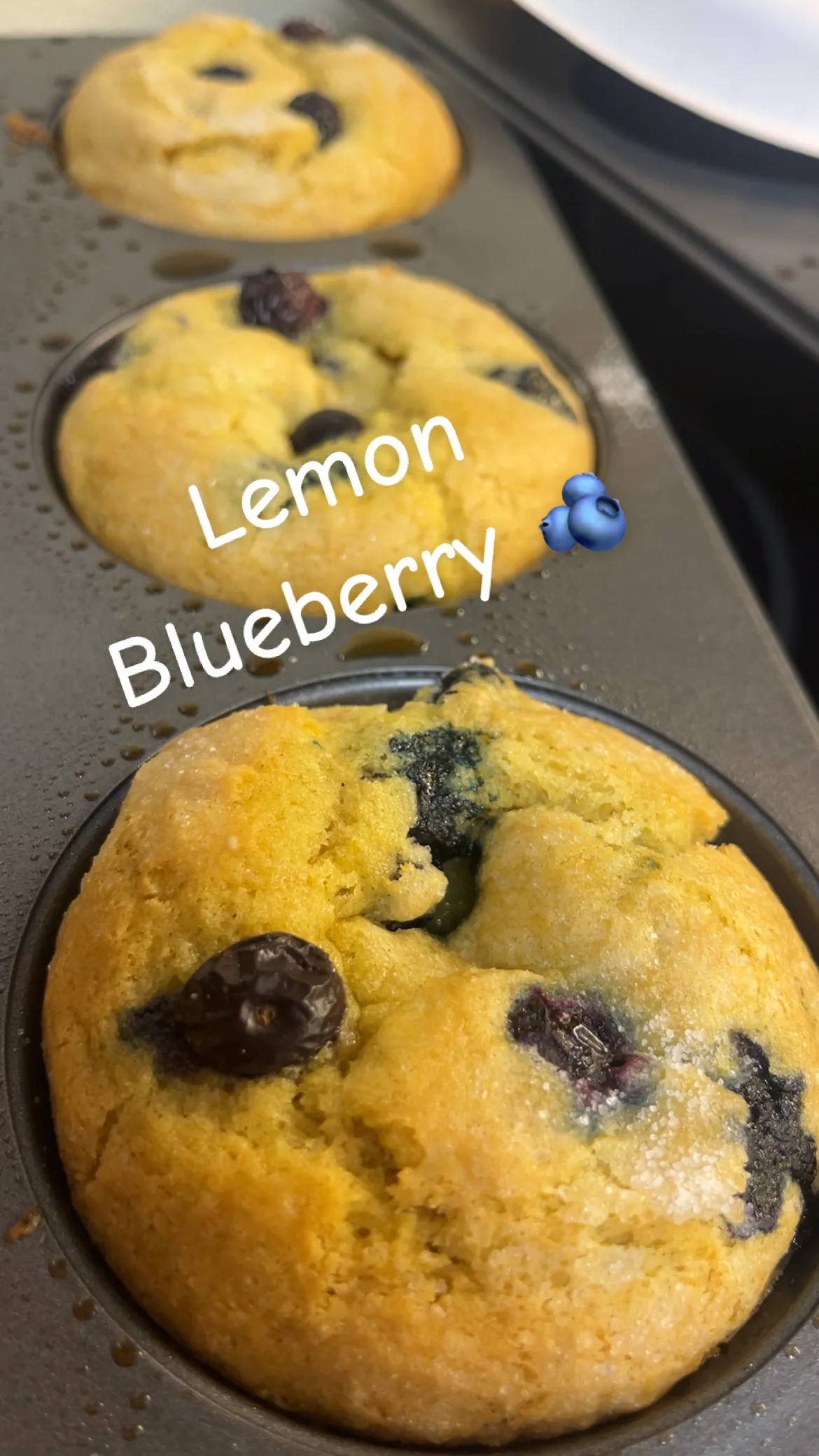 Lemon Blueberry Muffins