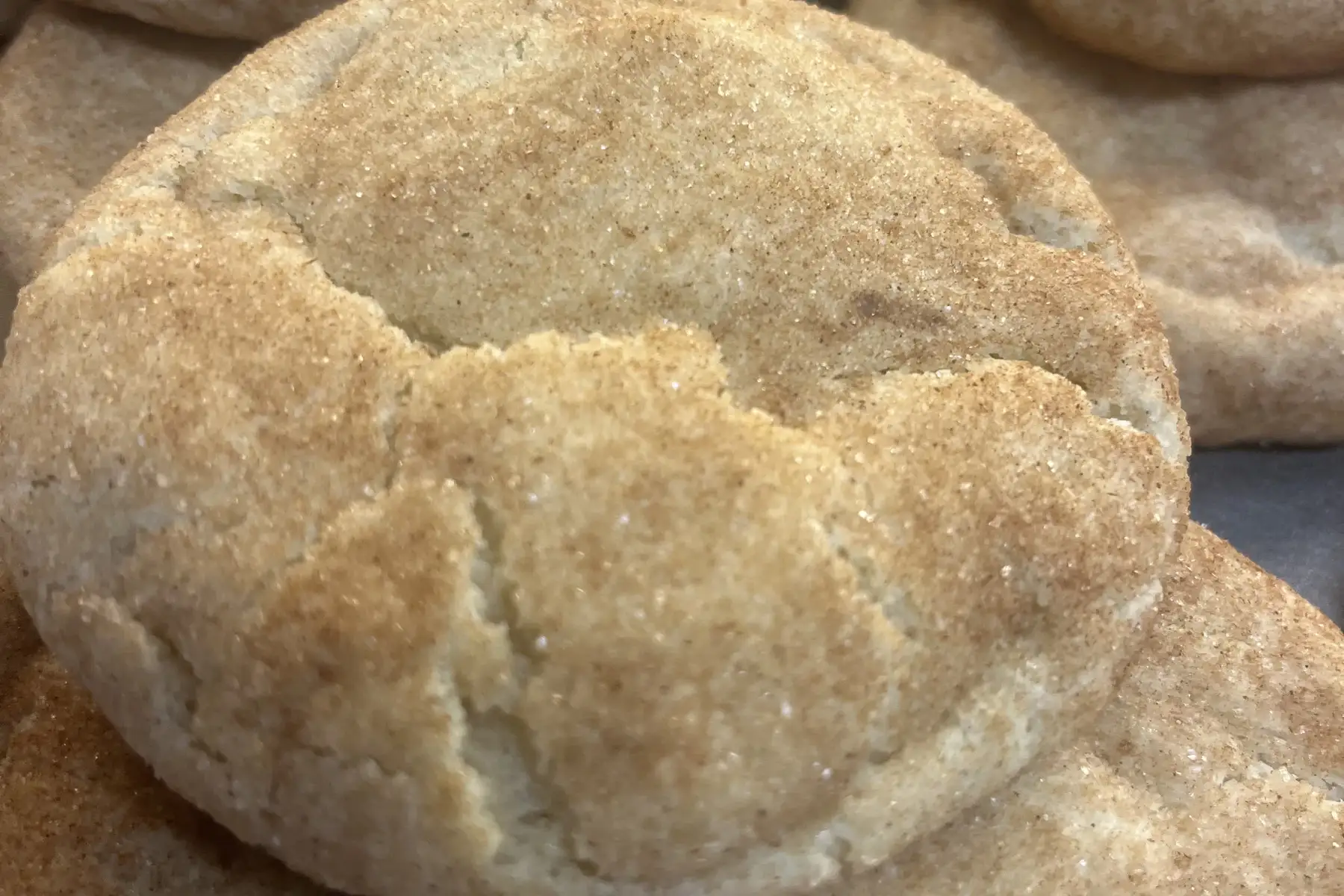 Fresh-baked snickerdoodles